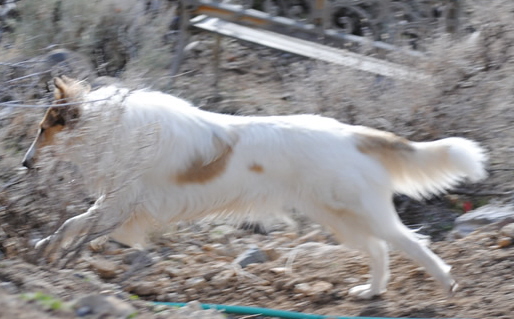 Princess1-Feb132010