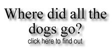 Wherediddogsgo